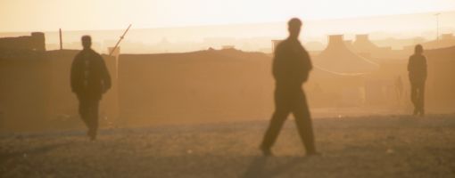 camps2_510.jpg