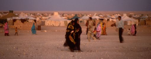 camps8_510.jpg