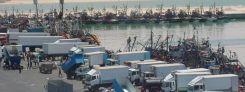 el_aaiun_harbour_245.jpg
