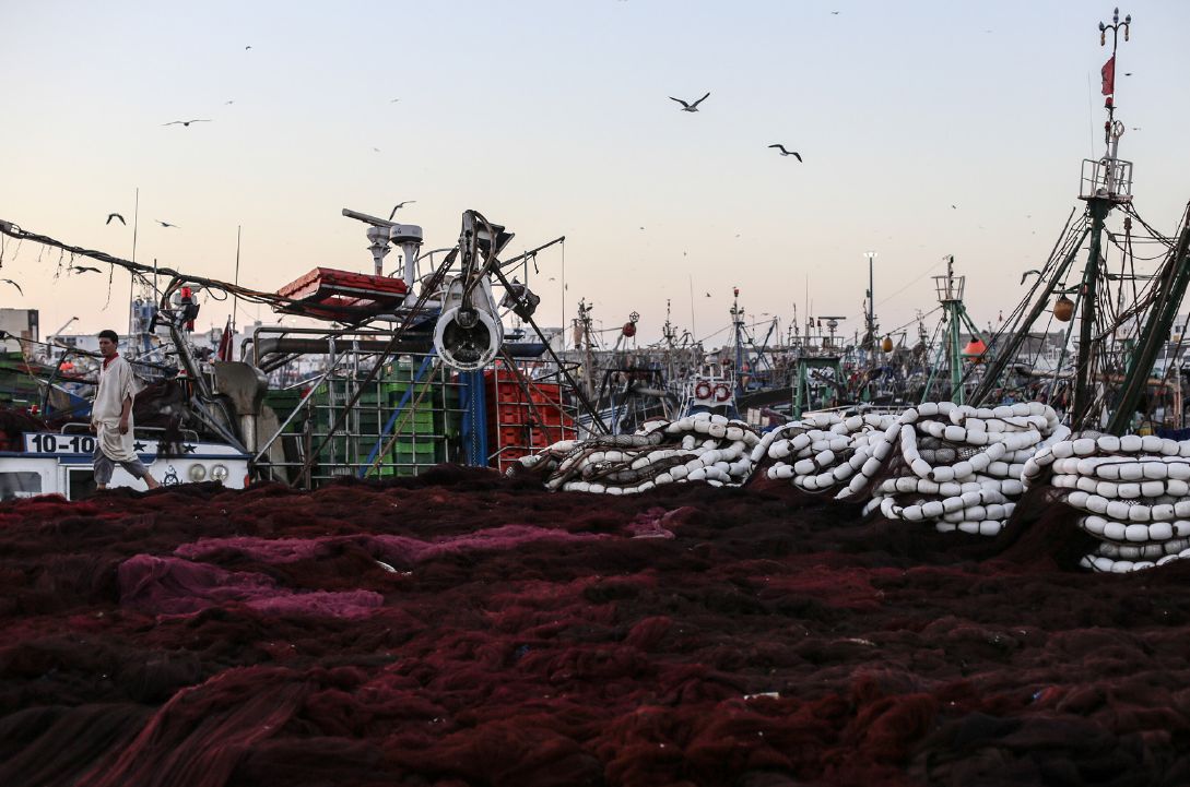 el_aaiun_harbour_510.jpg