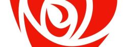 arbeiderpartiet_245.jpg