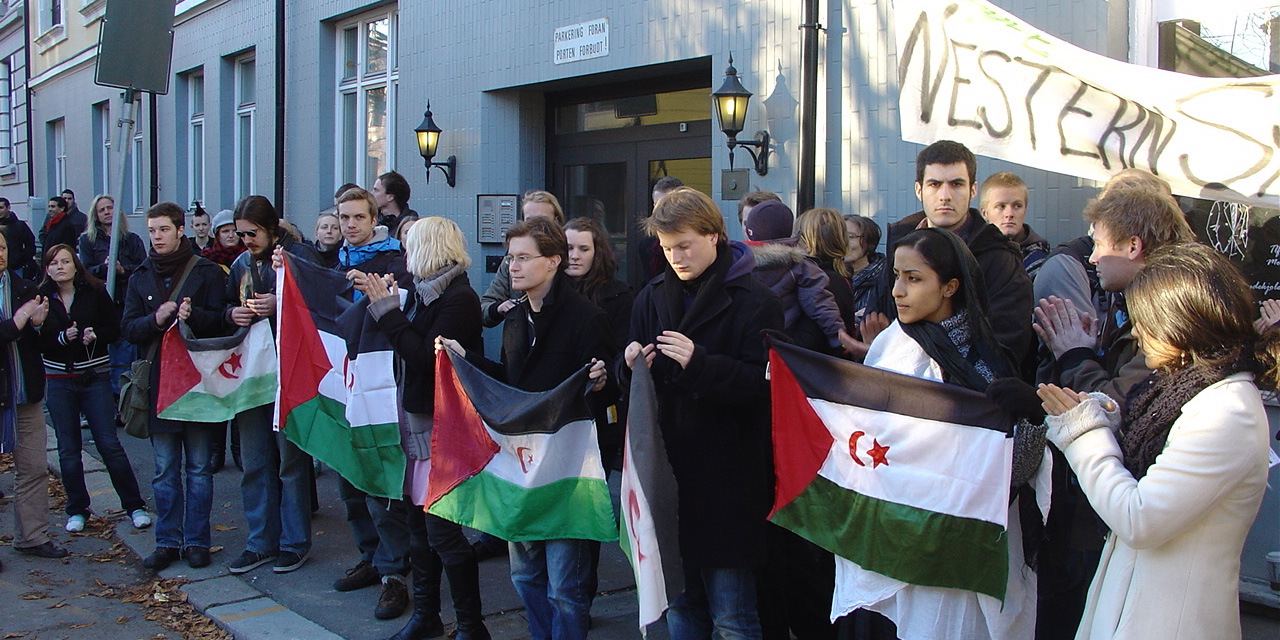 20071110_demo_flags.jpg
