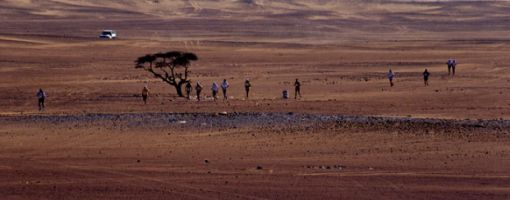 marathon_510.jpg