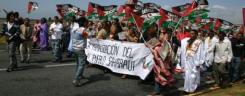 tn_fmc_foret_demonstration_2008_510-200.jpg