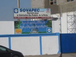 sovapec_250.jpg