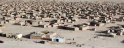 tn_refugee_camps_510.jpg