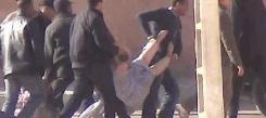 tn_sultana_2013b_510.jpg